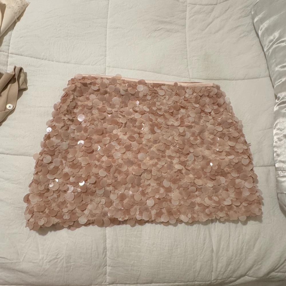 Zara Blush Pink Sequin Mini Skirt